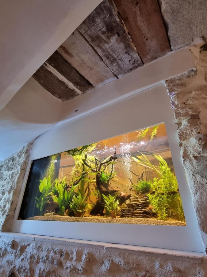 Maison Au Centre Du Village De Gordes Avec Vue Incroyable Zewnętrze zdjęcie
